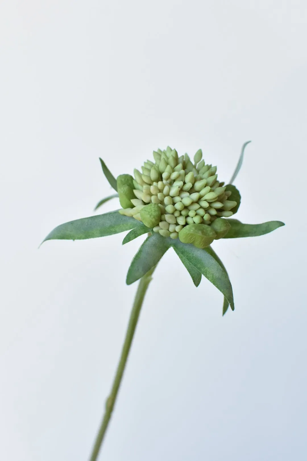 28" Faux Light Amethyst Scabiosa Stem