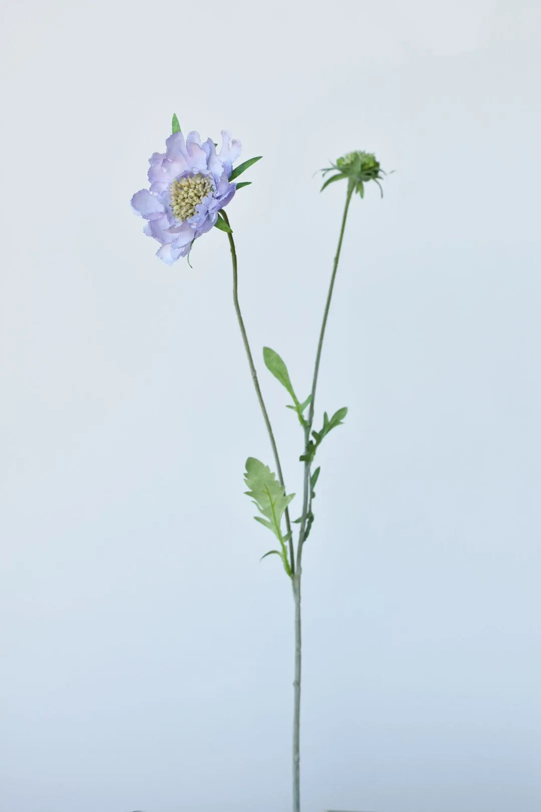28" Faux Light Amethyst Scabiosa Stem