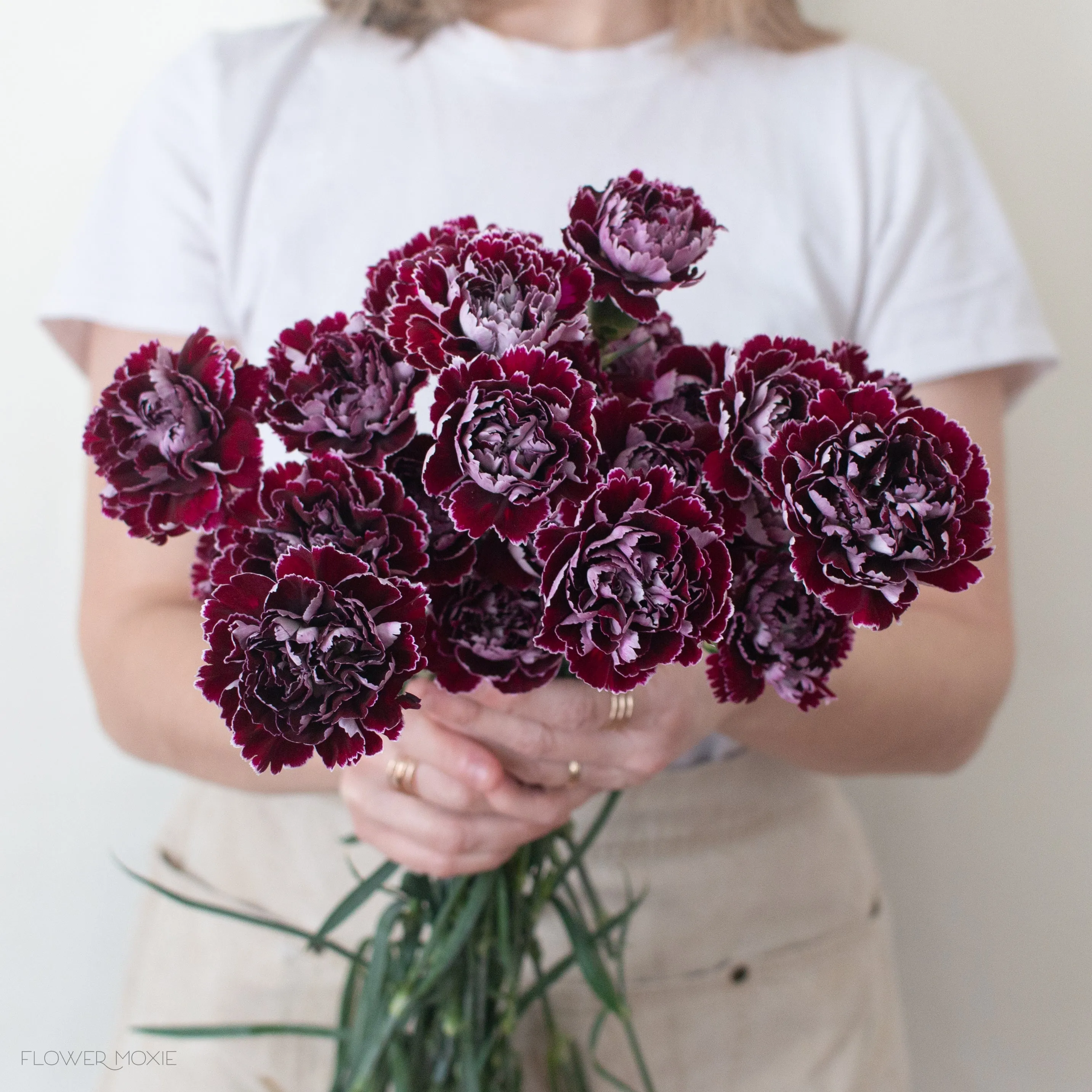 Burgundy Minerva Fancy Carnations